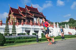 BIB: 
                            <button type="button" onclick="openModal(22461173)" class="btn btn-primary btn-sm float-right btn-popup" data-toggle="modal" data-target=".modal-high-quality">
                        <i class="fas fa-shopping-cart"></i> Add to Cart
                    </button>
                                            <button type="button" onclick="isThisMe(22461173, true)" class="btn btn-success btn-sm float-right btn-popup btn-isme hidden" data-toggle="tooltip" data-placement="bottom" title="นี่คือรูปของคุณใช่ไหม คลิกที่นี่เพื่อเอาเข้าอัลบั้ม">
                        <i class="fas fa-plus"></i> Add to album
                    </button>
                    <button type="button" onclick="isThisMe(22461173, false)" class="btn btn-warning btn-sm float-right btn-popup btn-isnotme hidden">
                        <i class="fas fa-ban"></i> Remove from album
                    </button>